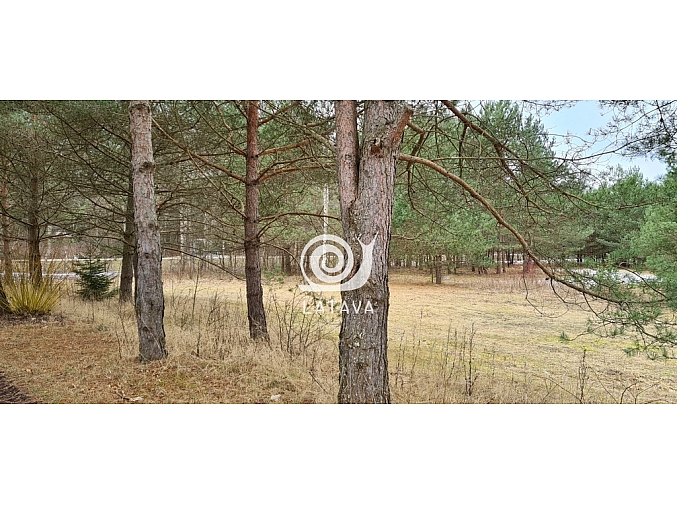 isskirtinis-dvibutis-namas-kacergineje-1