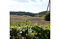 erdvus-namas-ir-sklypas-slienavos-pagrindineje-gatveje-3